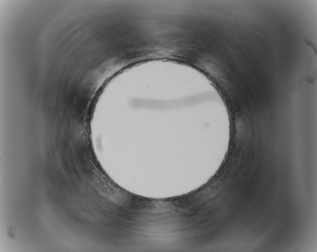 X0000103931308200809191114