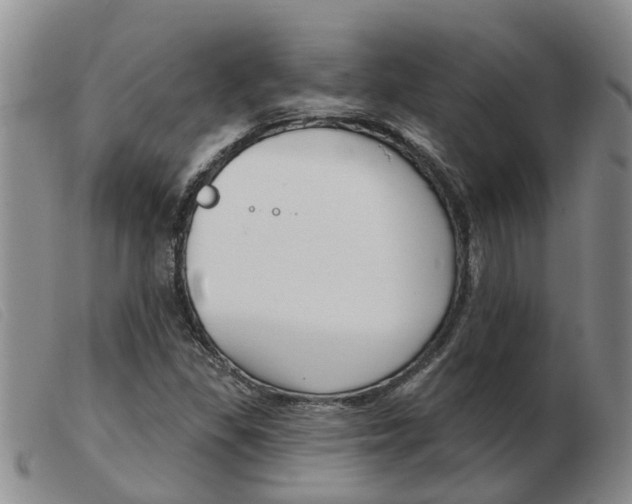 X0000103931309200809191114