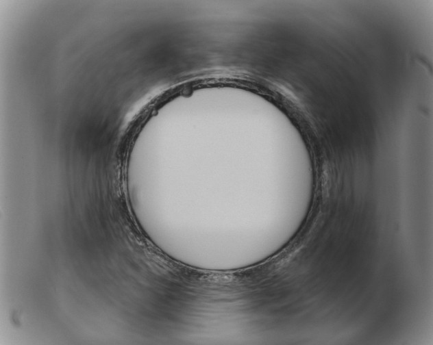 X0000103931310200809191114