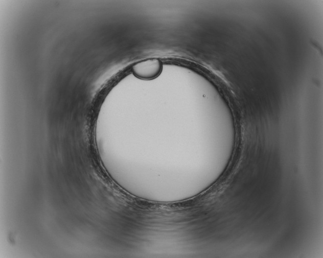 X0000103931311200809191114