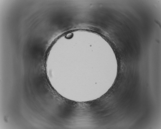 X0000103931312200809191114