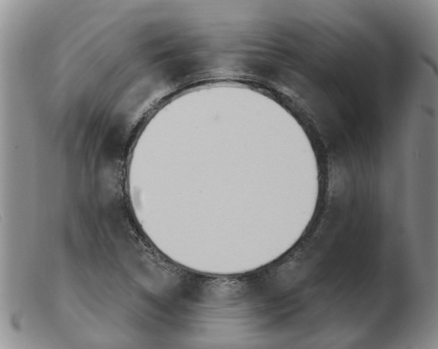 X0000103931314200809191114