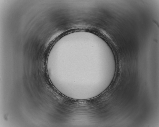 X0000103931315200809191114