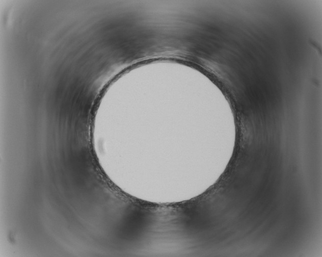 X0000103931316200809191114