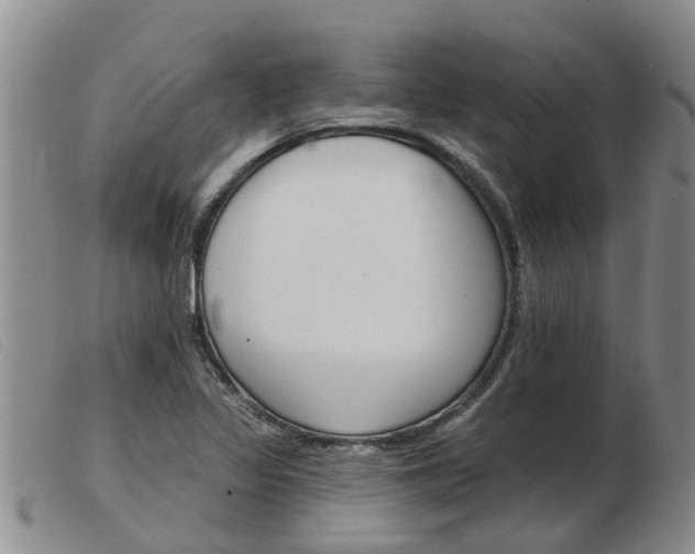 X0000103931317200809191114