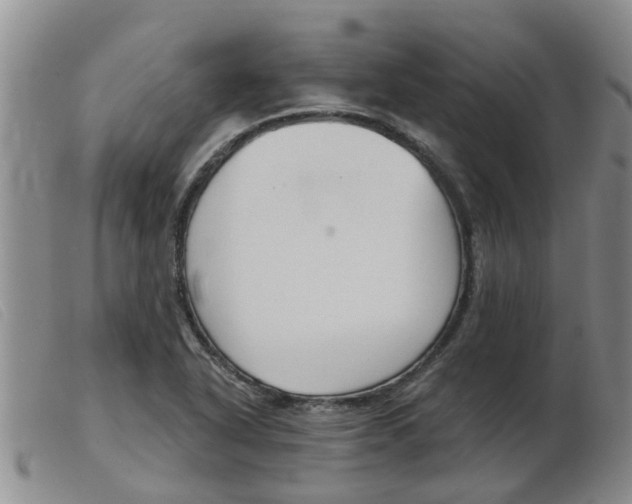 X0000103931318200809191114
