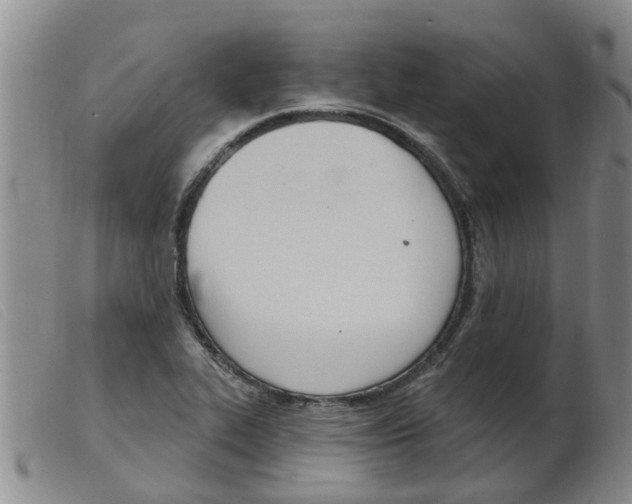 X0000103931319200809191114