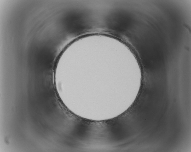 X0000103931320200809191114