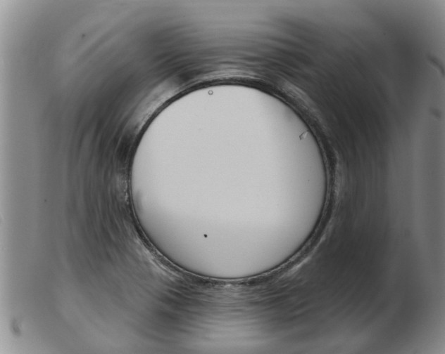 X0000103931321200809191114