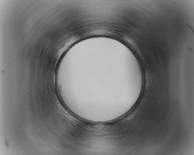 X0000103931322200809191114