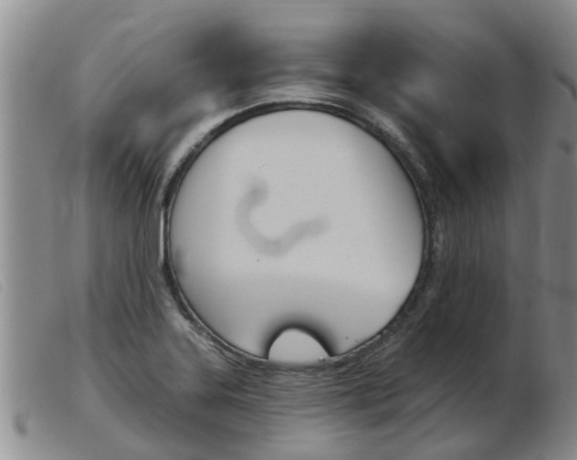 X0000103931323200809191114