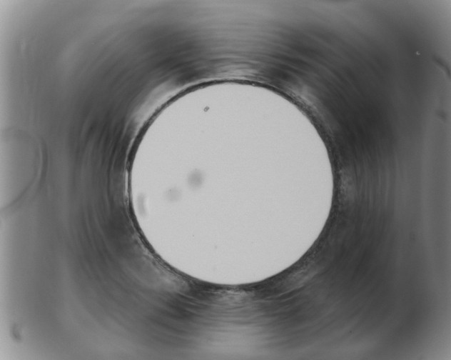 X0000103931324200809191114