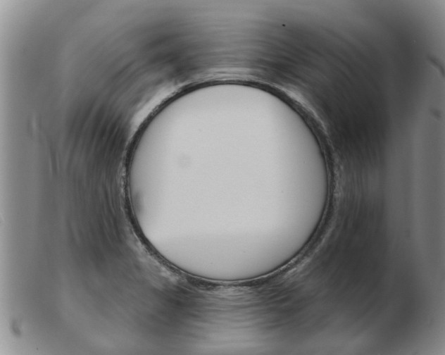 X0000103931325200809191114