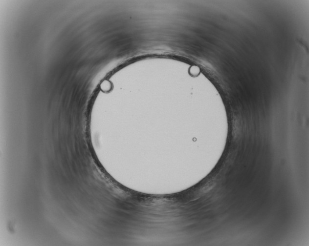 X0000103931326200809191114