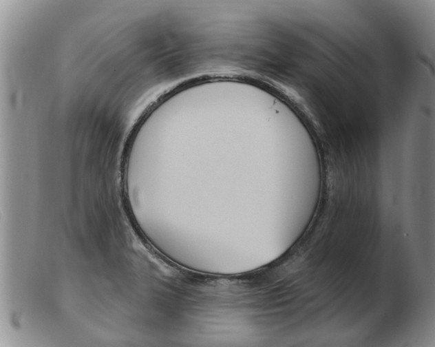 X0000103931327200809191114
