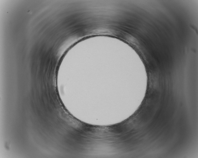 X0000103931328200809191114