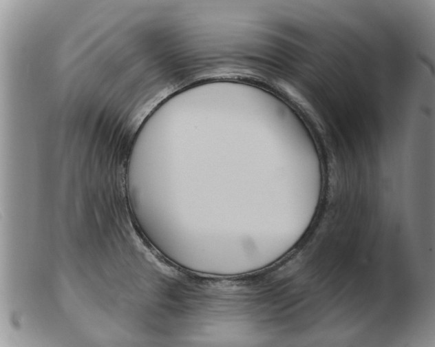 X0000103931329200809191114