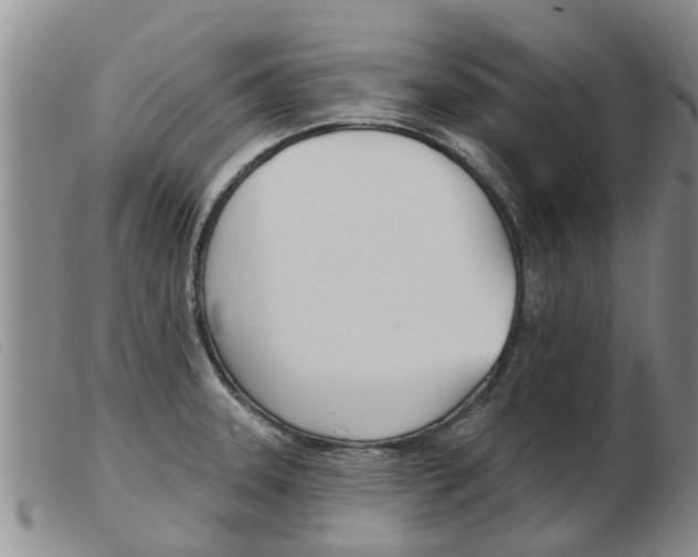 X0000103931331200809191114