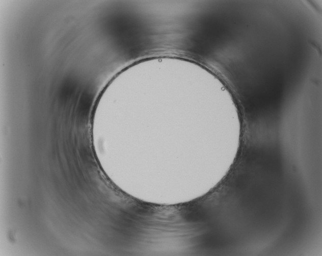 X0000103931332200809191114