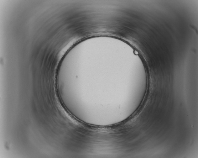 X0000103931333200809191114