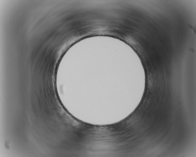 X0000103931334200809191114
