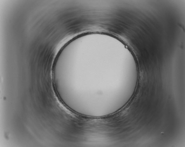 X0000103931335200809191114