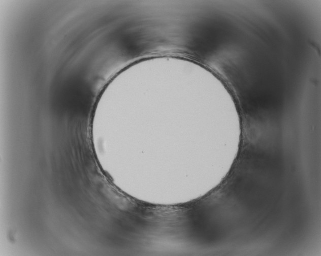 X0000103931336200809191114