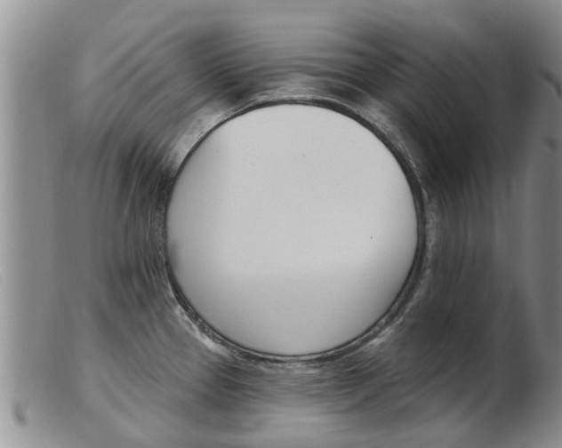 X0000103931337200809191114