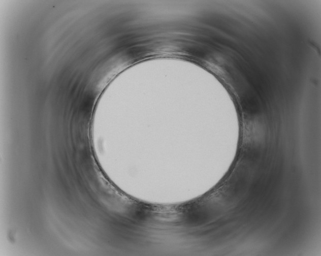 X0000103931338200809191114
