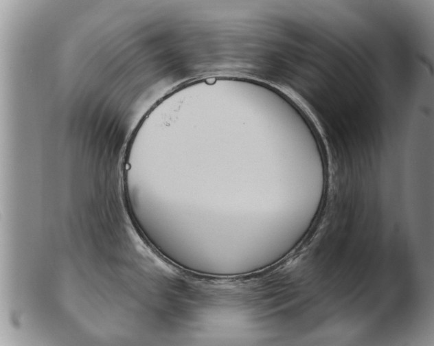 X0000103931341200809191114