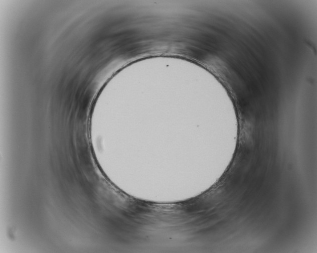 X0000103931342200809191114