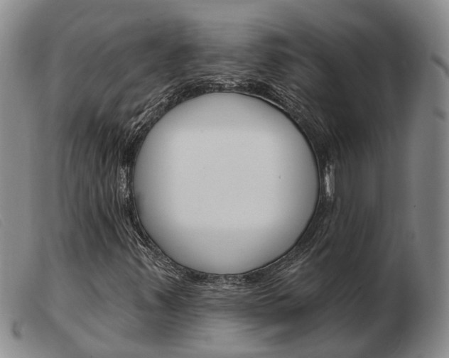 X0000103931347200809191113
