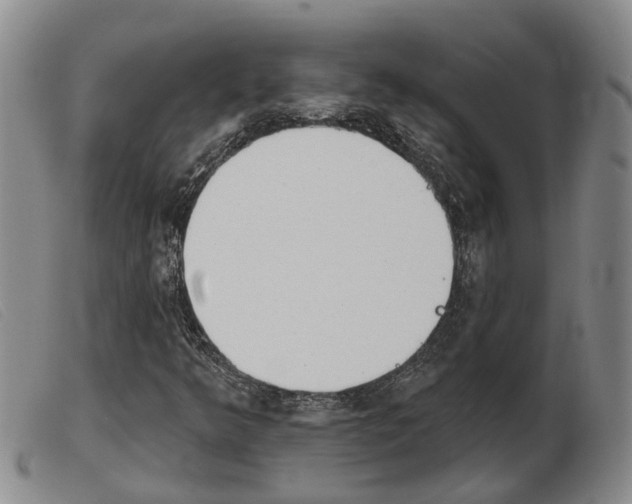 X0000103931349200809191113