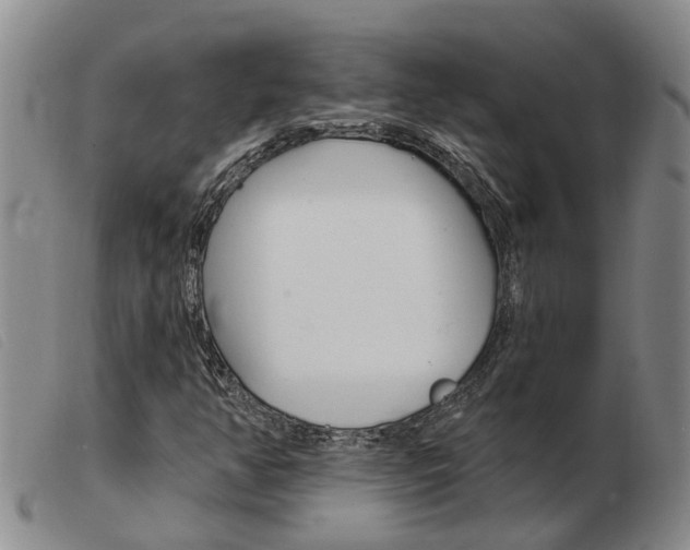 X0000103931350200809191113