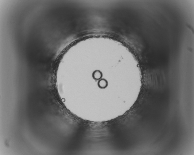 X0000103931352200809191113