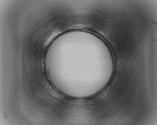 X0000103931355200809191113
