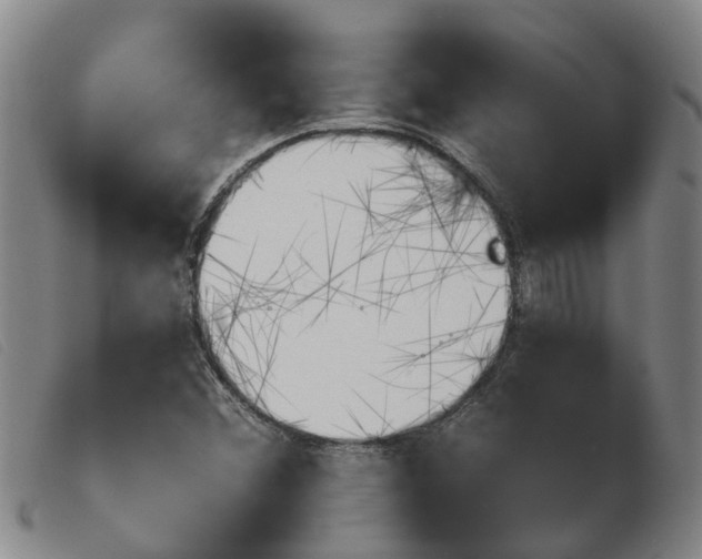 X0000103931356200809191113