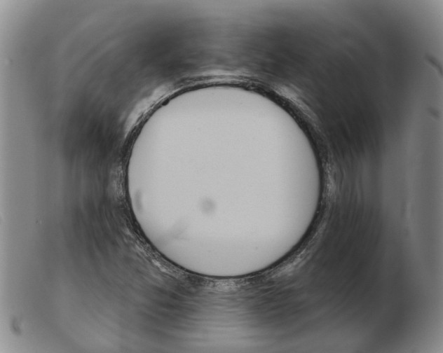 X0000103931357200809191113