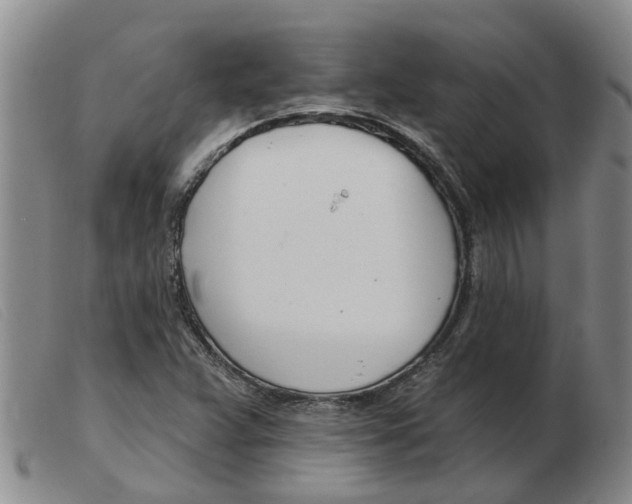 X0000103931359200809191113