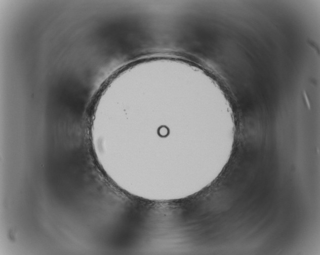 X0000103931360200809191113