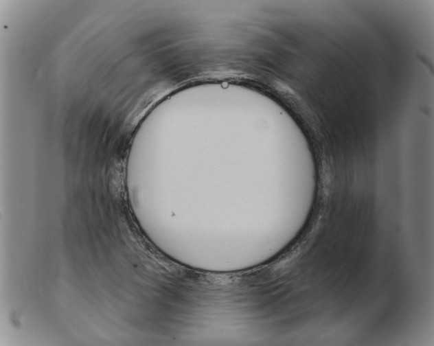 X0000103931361200809191113