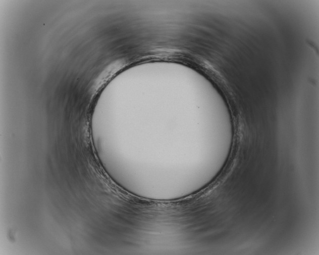 X0000103931362200809191113