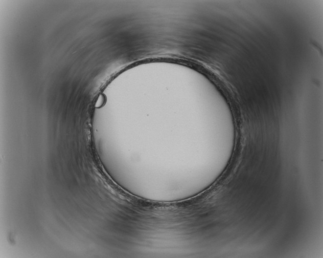 X0000103931363200809191113