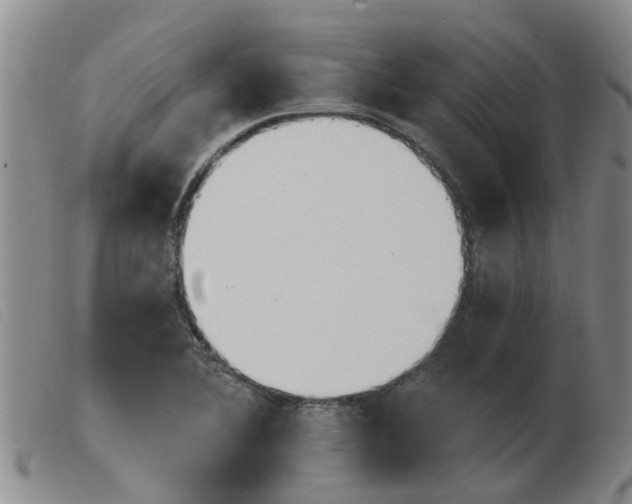 X0000103931364200809191113