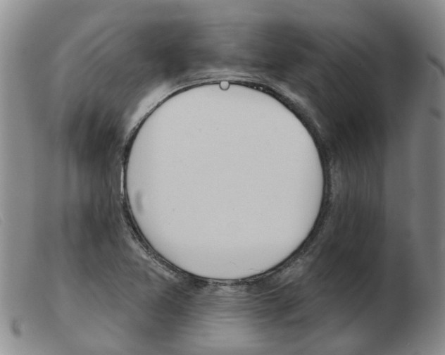 X0000103931365200809191113
