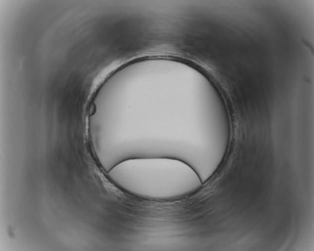 X0000103931366200809191113