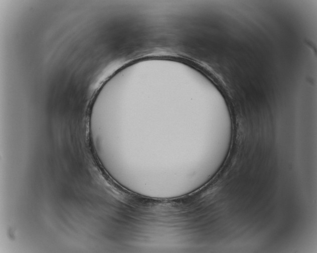 X0000103931367200809191113