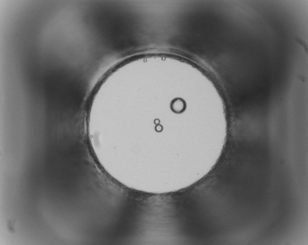 X0000103931368200809191113