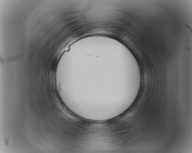 X0000103931369200809191113