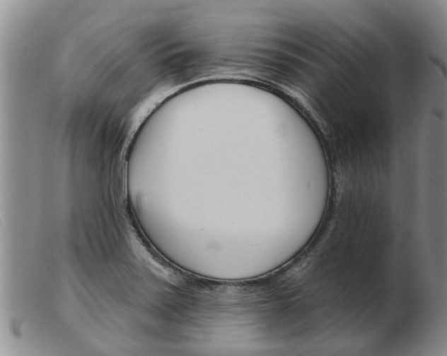 X0000103931371200809191113